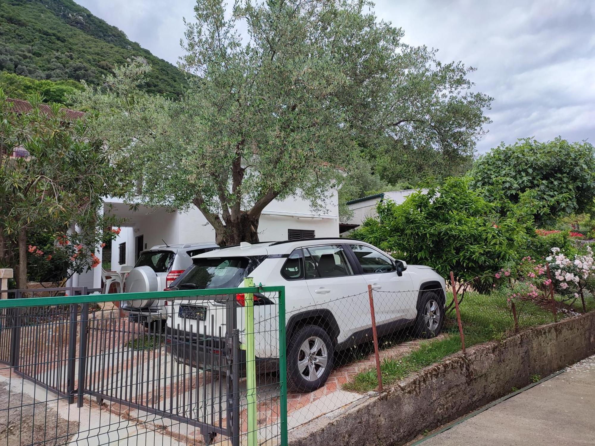 Holiday House In The Kotor Bay Exterior photo